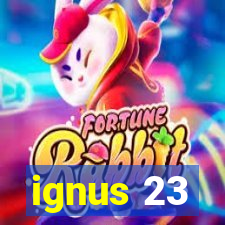 ignus 23