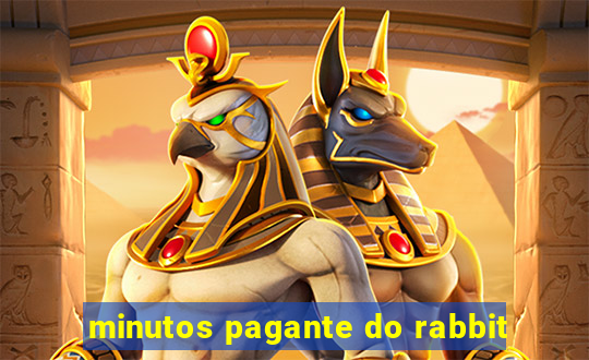 minutos pagante do rabbit