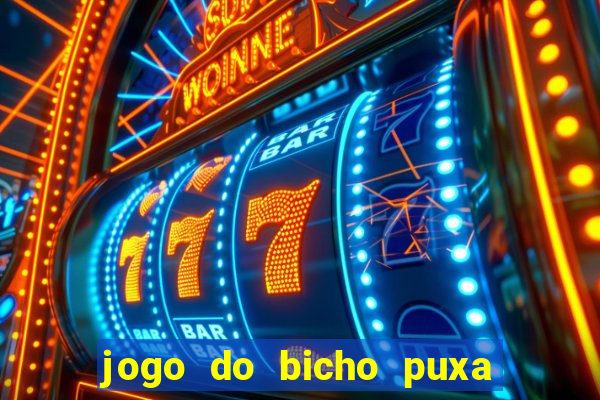 jogo do bicho puxa de dona maria