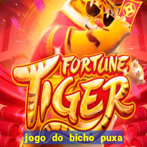 jogo do bicho puxa de dona maria