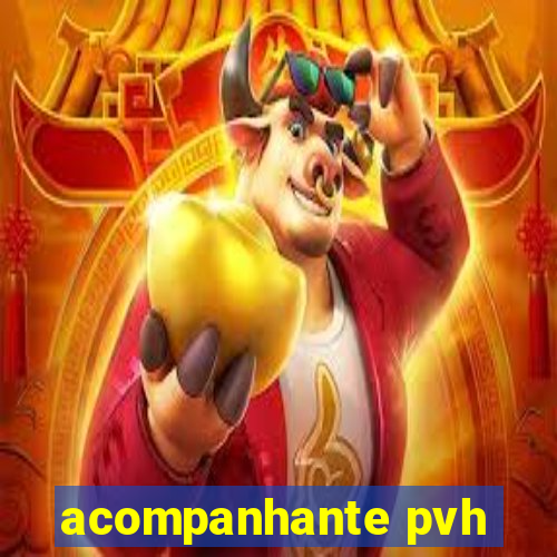 acompanhante pvh