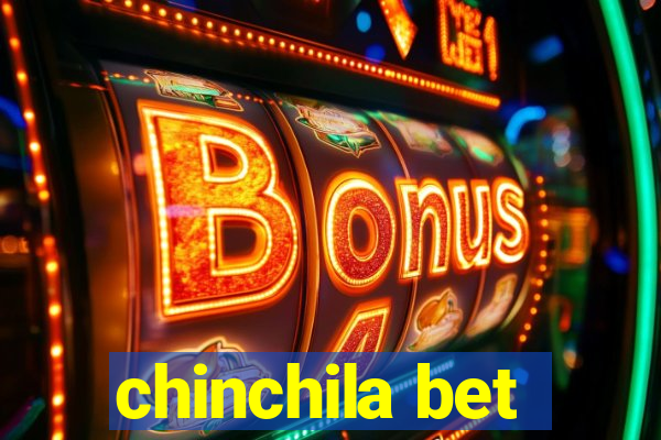 chinchila bet