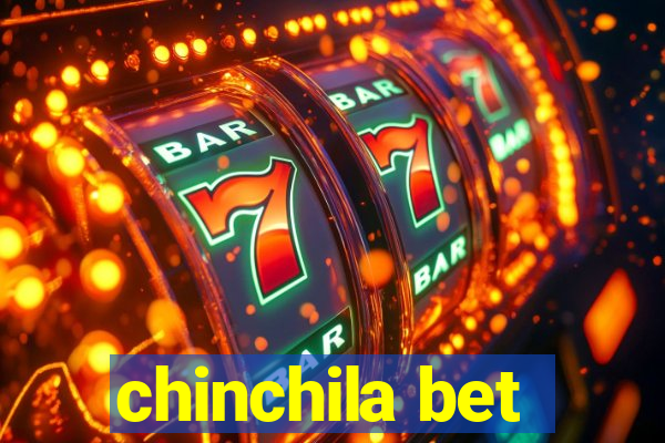 chinchila bet