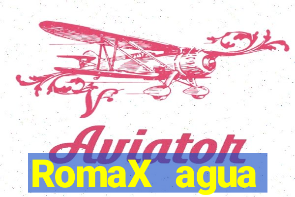 RomaX agua sanitaria fispq agua sanitaria romax