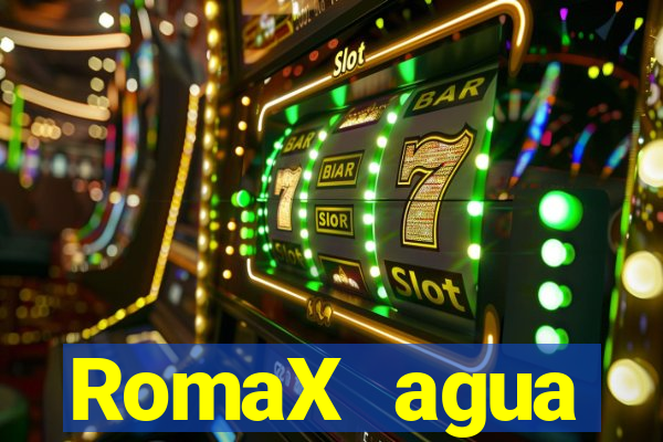 RomaX agua sanitaria fispq agua sanitaria romax