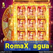 RomaX agua sanitaria fispq agua sanitaria romax