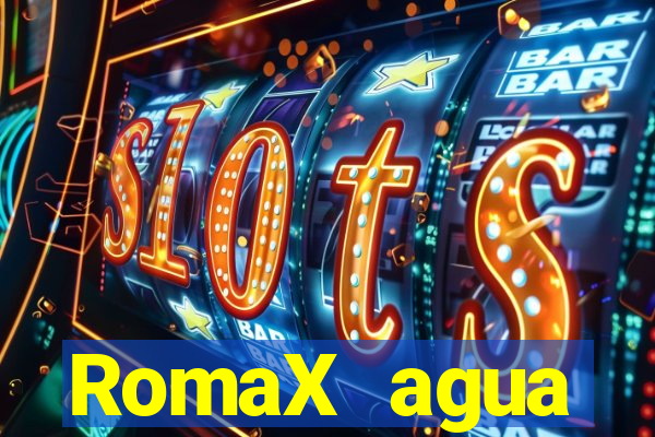 RomaX agua sanitaria fispq agua sanitaria romax