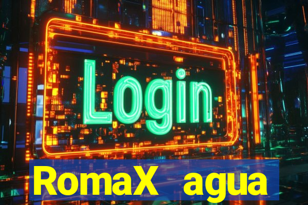 RomaX agua sanitaria fispq agua sanitaria romax