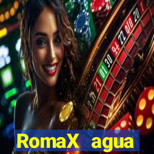 RomaX agua sanitaria fispq agua sanitaria romax