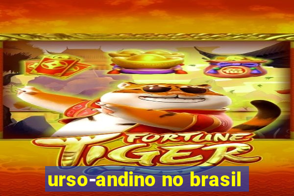 urso-andino no brasil