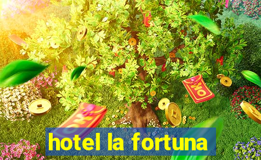 hotel la fortuna