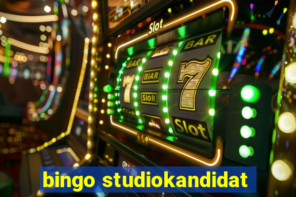 bingo studiokandidat