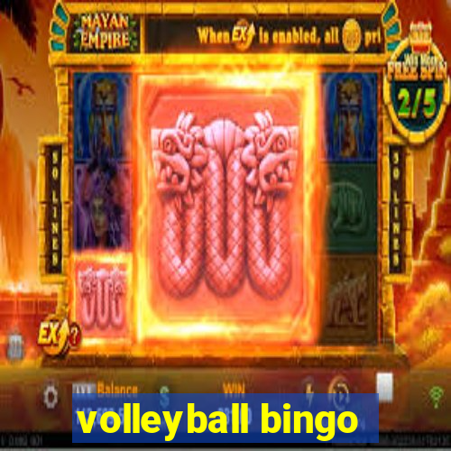 volleyball bingo