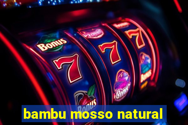 bambu mosso natural