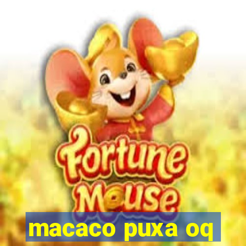 macaco puxa oq