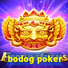 bodog poker