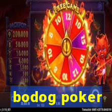 bodog poker