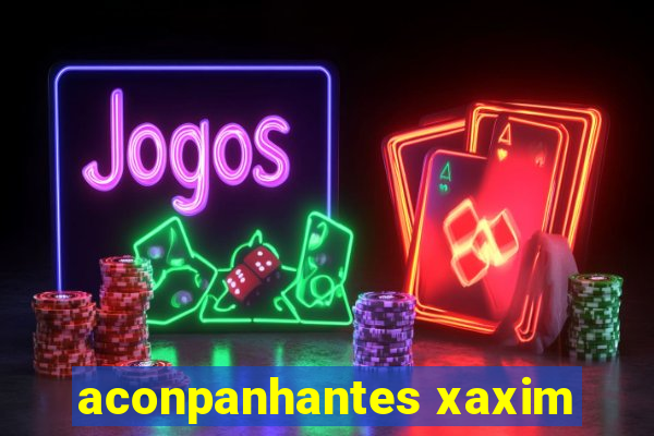 aconpanhantes xaxim