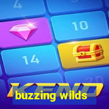 buzzing wilds