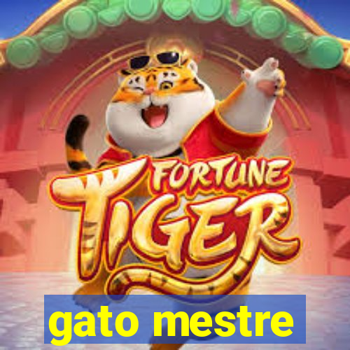 gato mestre