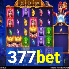 377bet