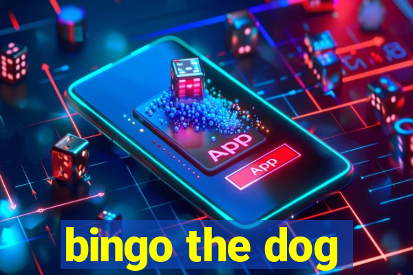 bingo the dog