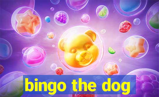 bingo the dog