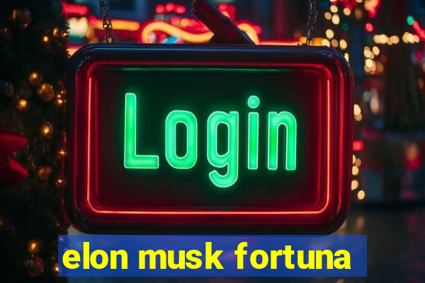 elon musk fortuna