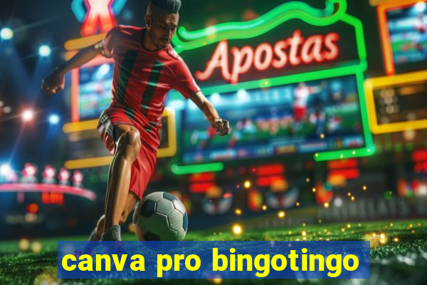 canva pro bingotingo