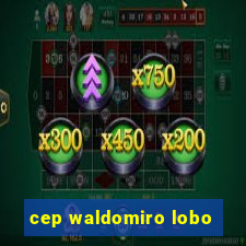 cep waldomiro lobo