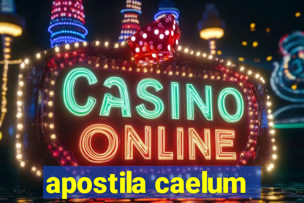 apostila caelum