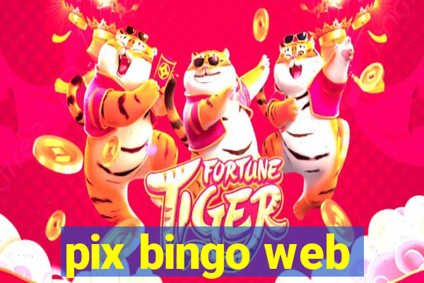 pix bingo web