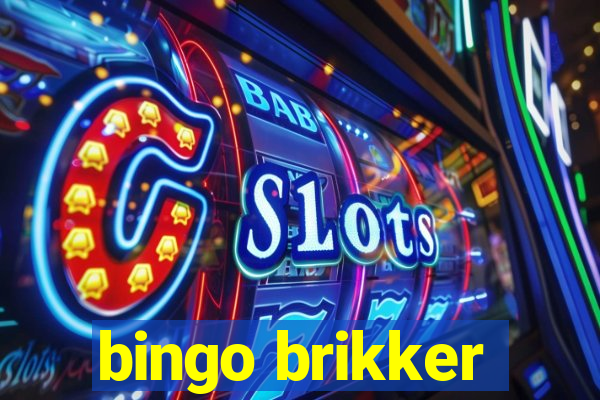 bingo brikker