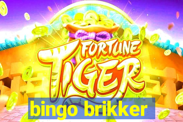 bingo brikker