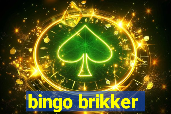 bingo brikker