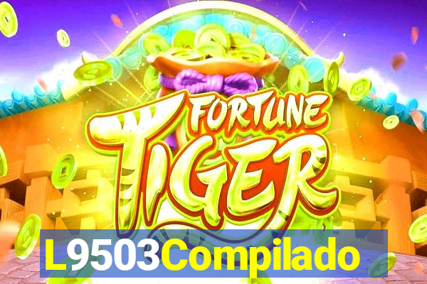 L9503Compilado