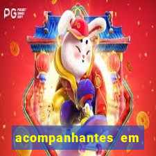 acompanhantes em altos pi