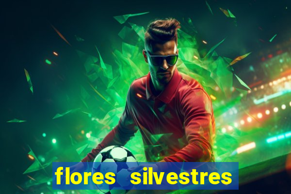 flores silvestres desbravadores desbravadores 25