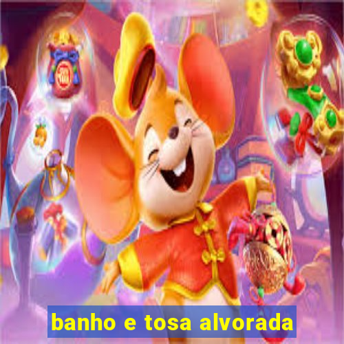 banho e tosa alvorada