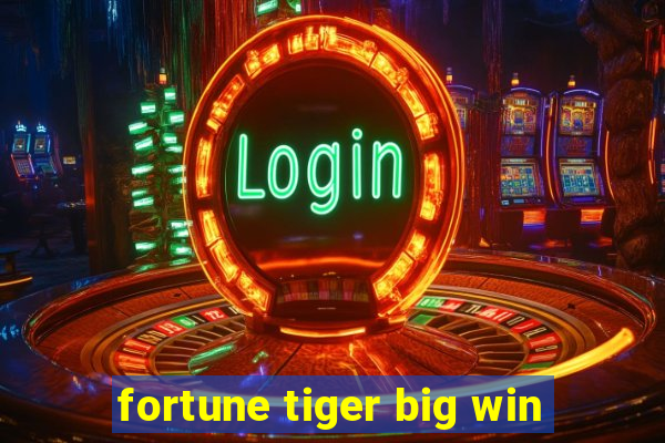 fortune tiger big win