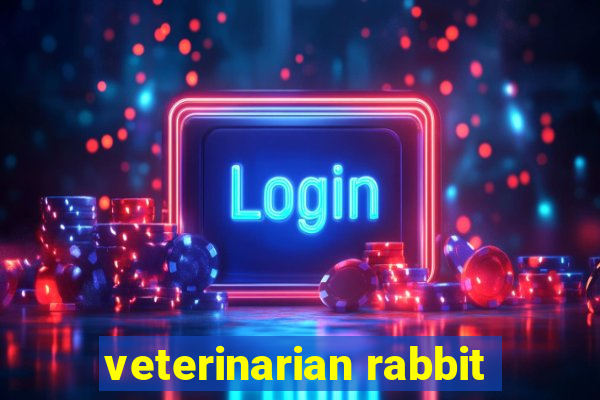 veterinarian rabbit