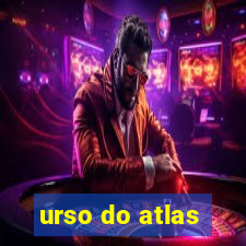 urso do atlas