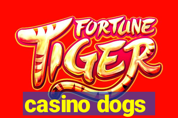 casino dogs