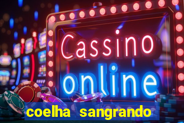 coelha sangrando pela parte intima