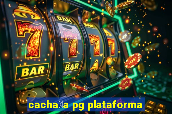 cacha莽a pg plataforma