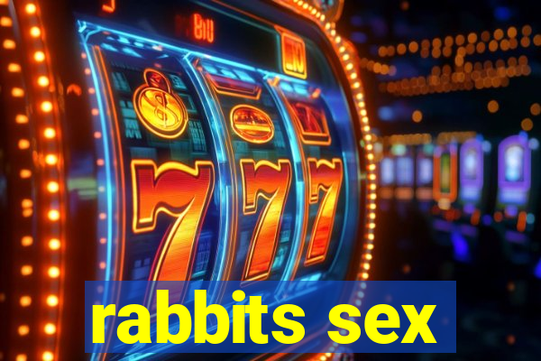 rabbits sex