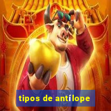 tipos de antílope