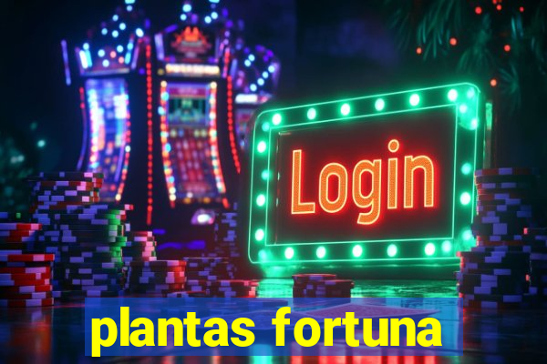 plantas fortuna