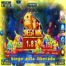 bingo esta liberado no brasil