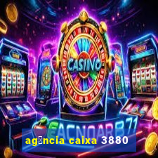 ag锚ncia caixa 3880